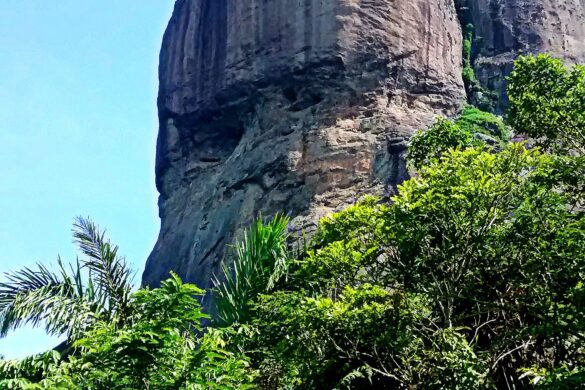 Cabeça do Imperador na trilha da Pedra da Gávea Cabeça do Imperador na trilha da Pedra da Gávea