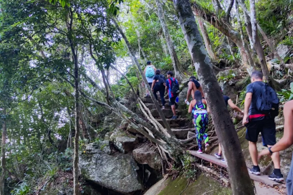 Trilha da Pedra da Gávea Trilha da Pedra da Gávea