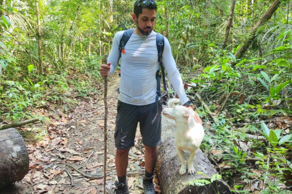 Théo, cão guia na Cachoeira da Neblina, em Presidente Figueiredo Théo, cão guia na Cachoeira da Neblina, em Presidente Figueiredo