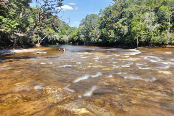 Poço da Cachoeira Iracema, em Presidente Figueiredo Poço da Cachoeira Iracema, em Presidente Figueiredo