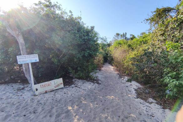 Entrada da trilha da Serra da Piroca, em Alter do Chão Entrada da trilha da Serra da Piroca, em Alter do Chão