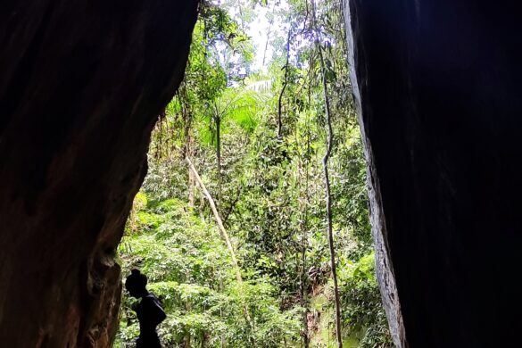 Gruta do Archer na Floresta da Tijuca
