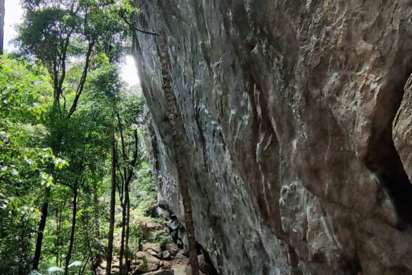 Paredão de escalada Escola 2000