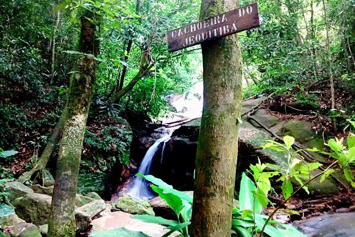Cachoeira do Jequitibá