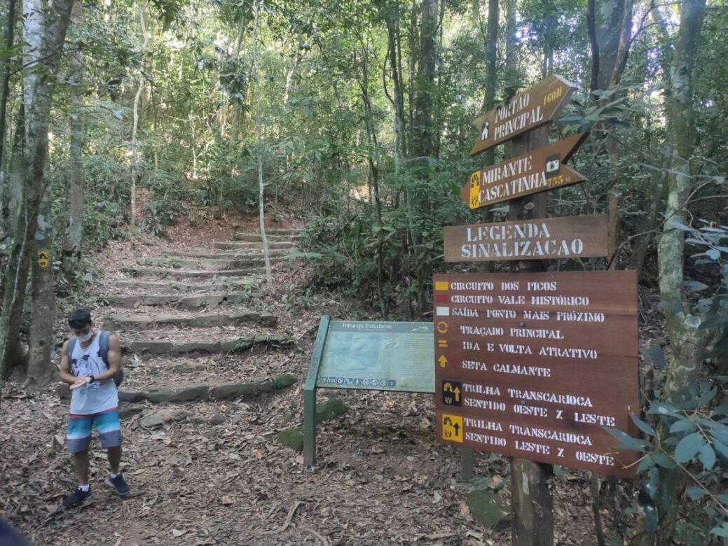Trilha do Estudante, na Floresta da Tijuca