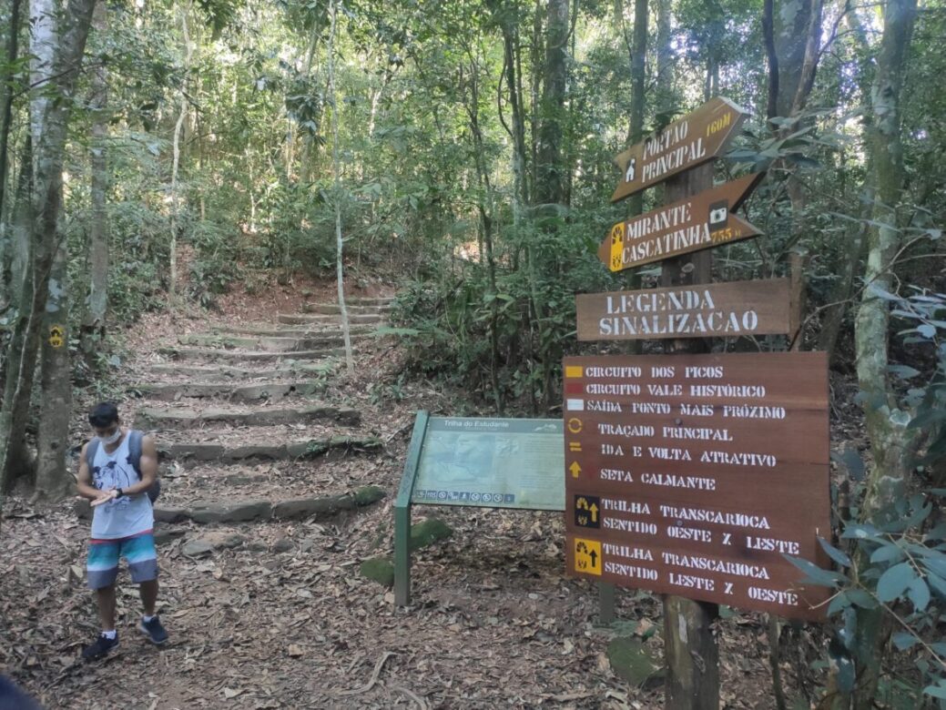 Trilha do Estudante, na Floresta da Tijuca