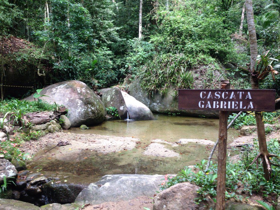 Cascata Gabriela - Floresta da Tijuca