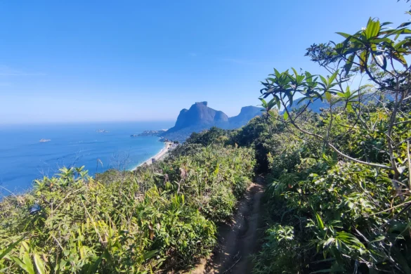 caminhando na crista do morro dois irmãos