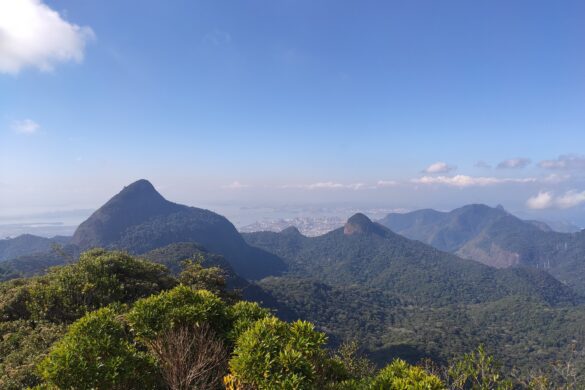 topo do Morro da Cocanha