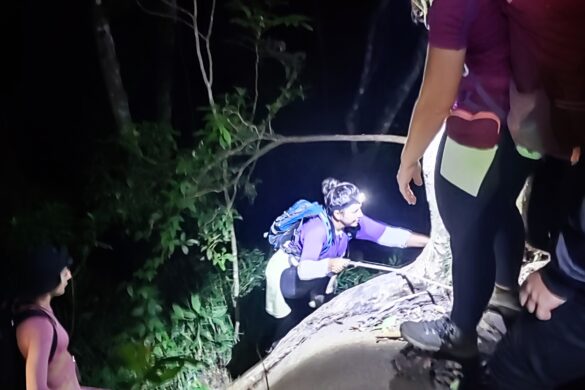 trilha do Pico do Papagaio a noite