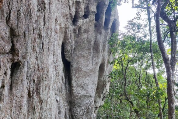 Paredão rochoso na base do Pico do Papagaio