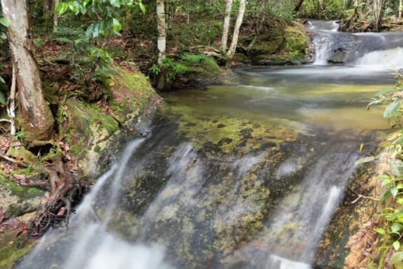 Cachoeira três quedas, em `Presidente FIgueiredo
