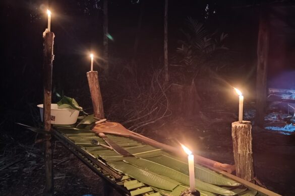 Mesa de jantar na selva amazonica