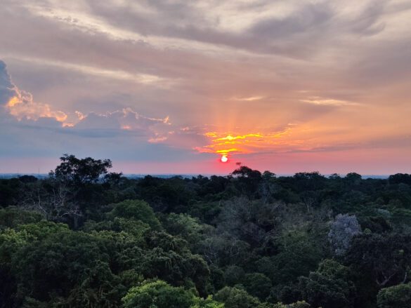 Pôr do Sol no Museu da Amazônia
