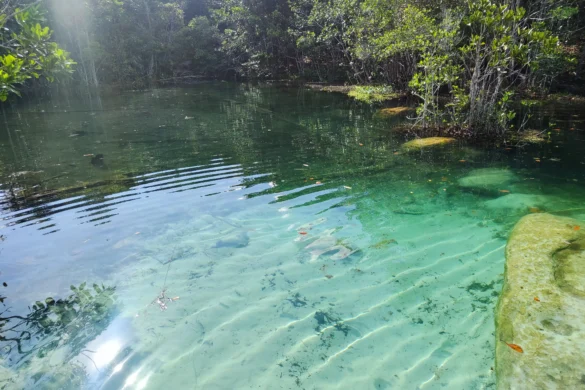 Lago Cristalino, em Presidente Figueiredo