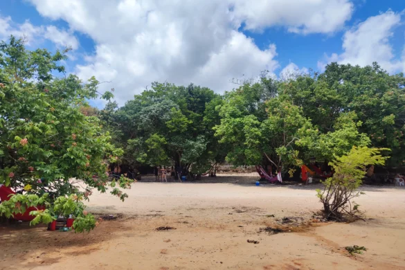 redários na Praia Ponta de Pedra, em Santarém