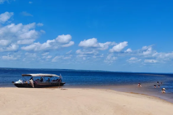 Ponta do Icuxi (Rio Arapiuns), Santarém